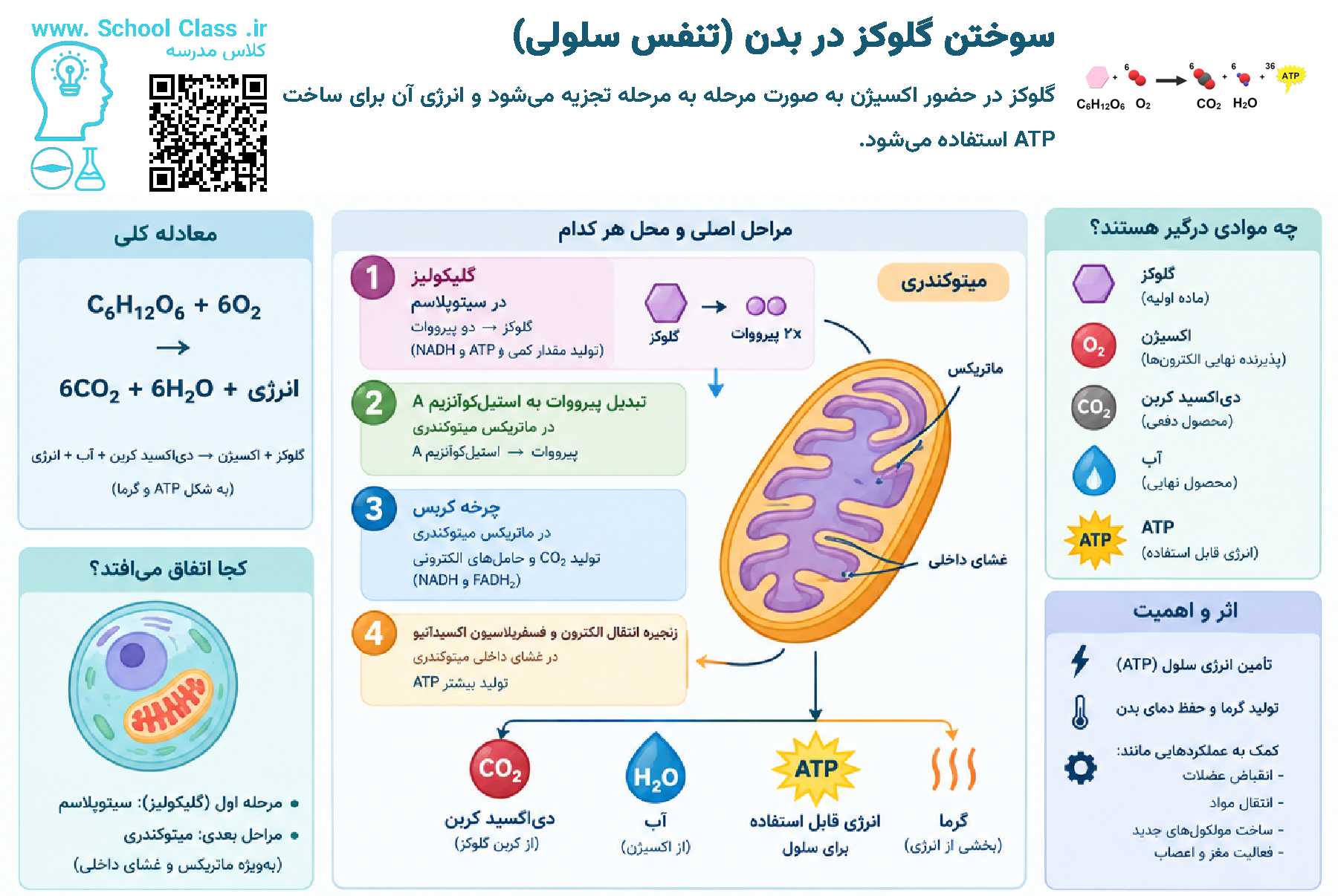 تنفس سلولی